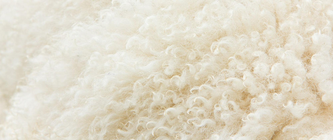 The Science of Wool: Unlocking Its Secrets and Benefits for You