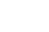 The Andes Project Logo